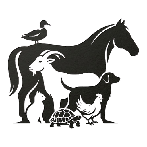Saint Francis Rescue logo